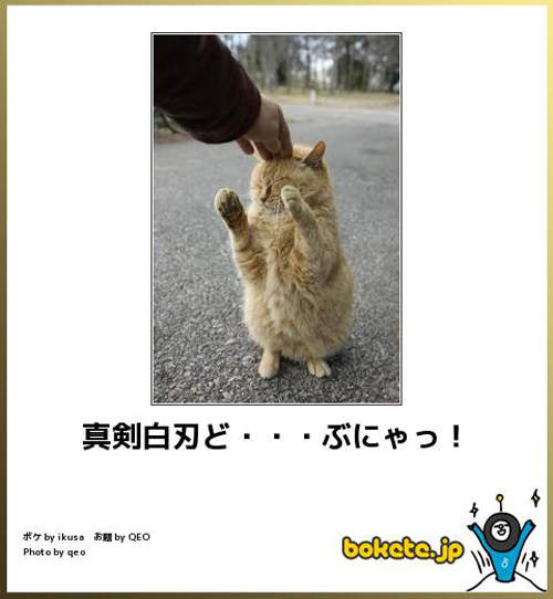 圖片10 圖片10
