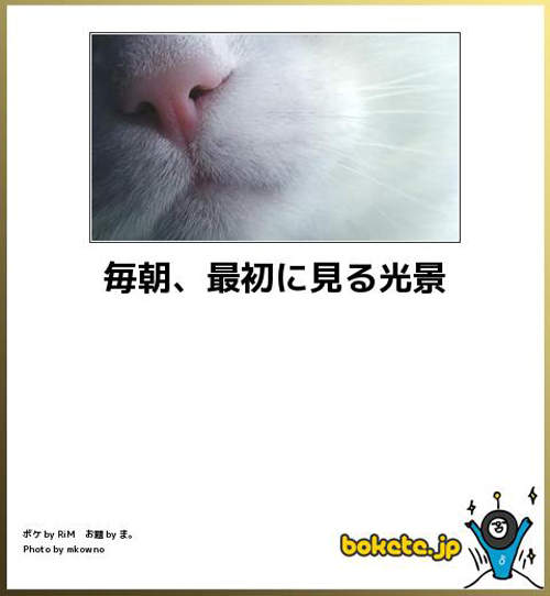 圖片14 圖片14