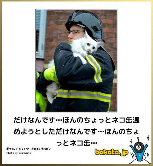 圖片5 圖片5