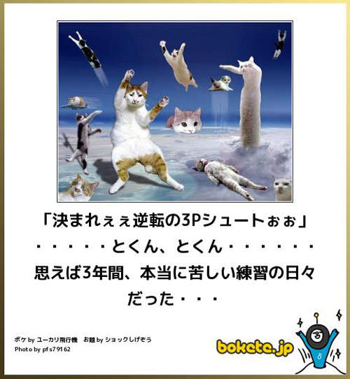 圖片6 圖片6