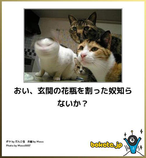 圖片8 圖片8