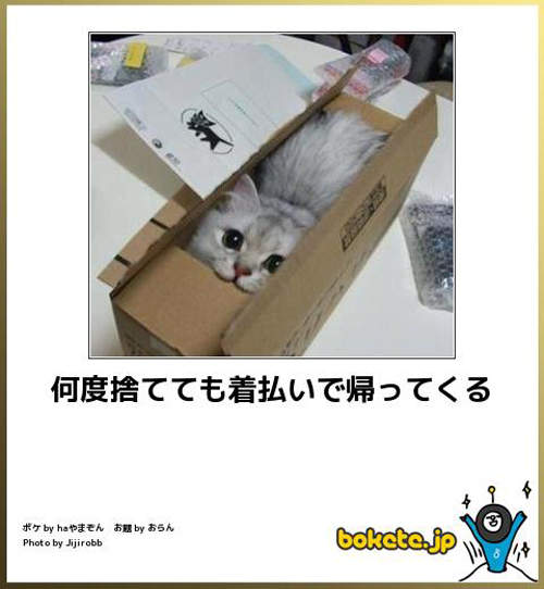 圖片9 圖片9