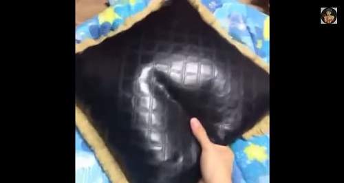 圖片12 圖片12