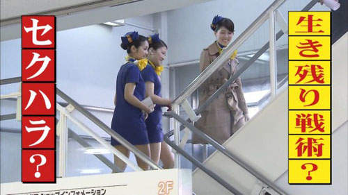 圖片11 圖片11