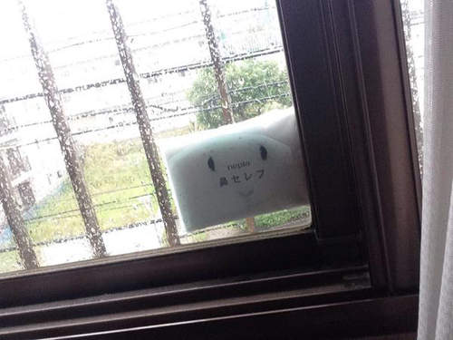 圖片17 圖片17