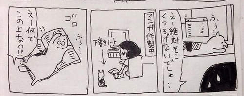 圖片10 圖片10