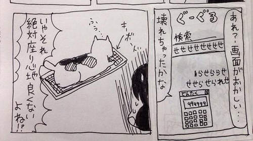 圖片11 圖片11