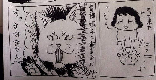 圖片14 圖片14