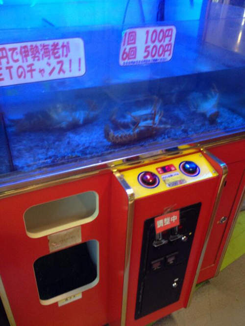 圖片12 圖片12