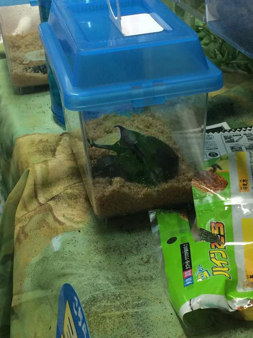 圖片14 圖片14