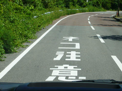 圖片9 圖片9