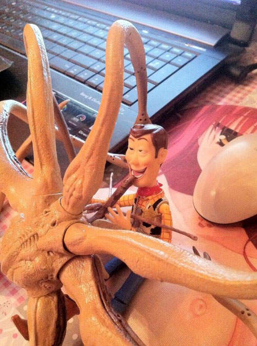 圖片13 圖片13