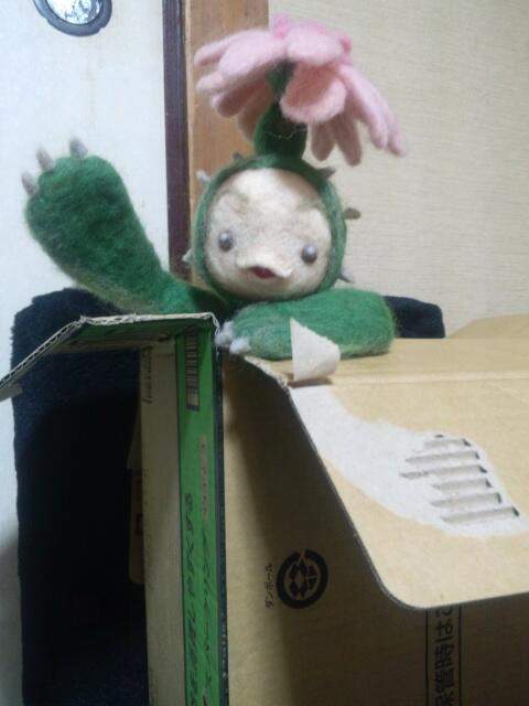 圖片23 圖片23