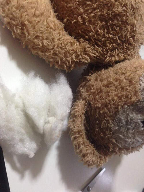 圖片5 圖片5