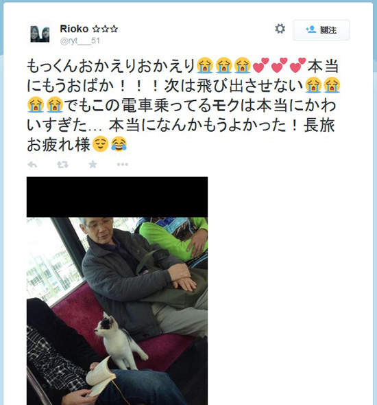 圖片5 圖片5
