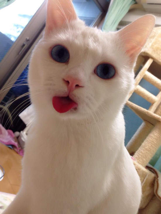 圖片4 圖片4
