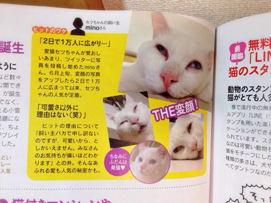 圖片22 圖片22