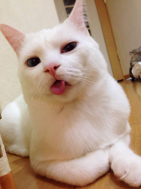 圖片5 圖片5