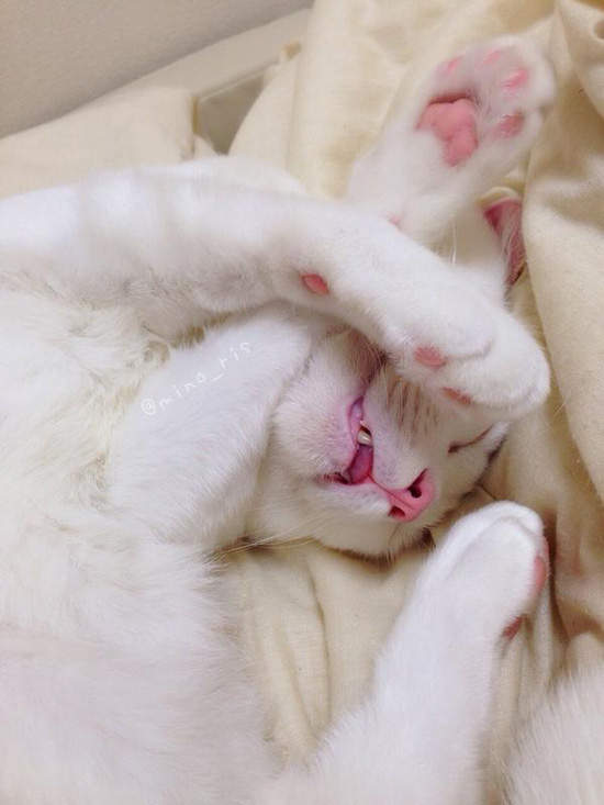 圖片7 圖片7