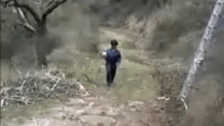圖片5 圖片5