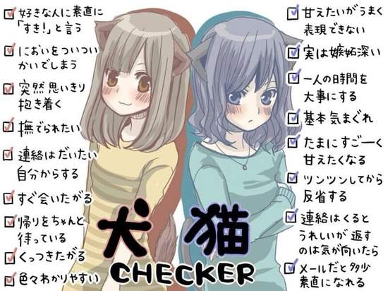 圖片13 圖片13