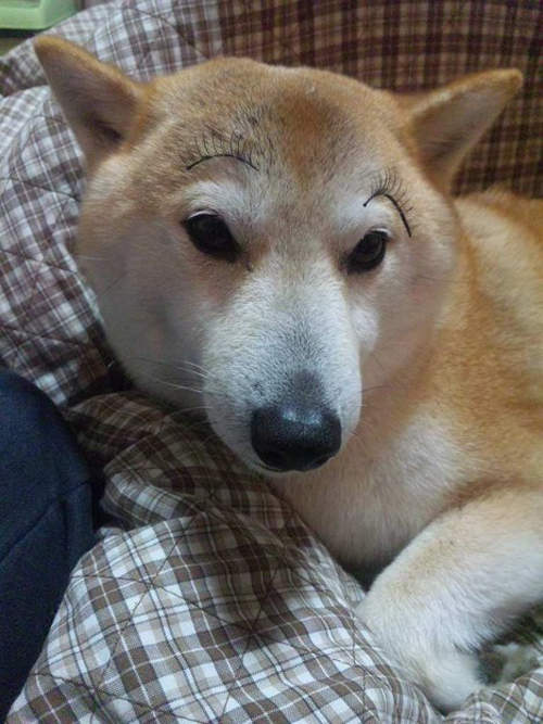 圖片10 圖片10