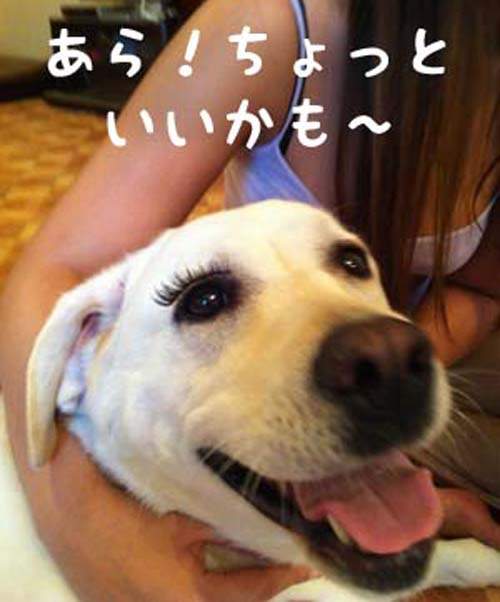 圖片8 圖片8