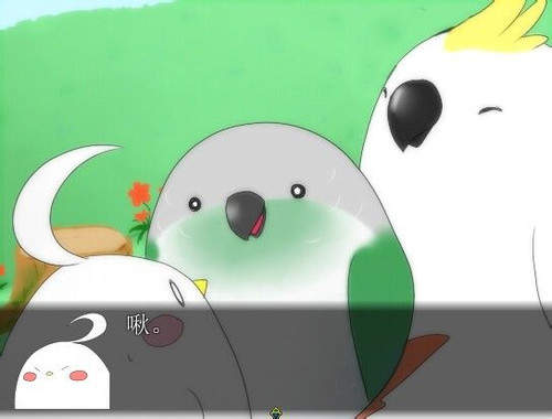 圖片11 圖片11
