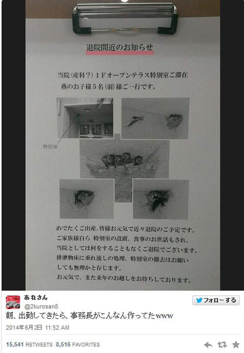 圖片5 圖片5