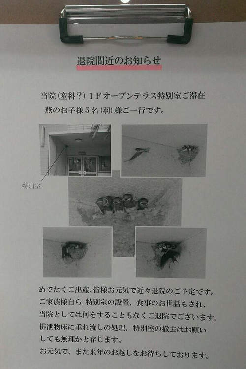 圖片6 圖片6