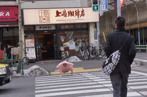 圖片13 圖片13