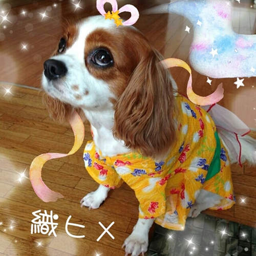圖片5 圖片5