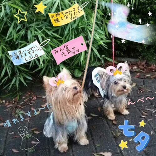 圖片12 圖片12