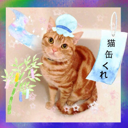 圖片14 圖片14