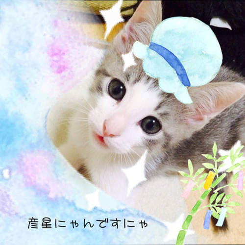 圖片16 圖片16