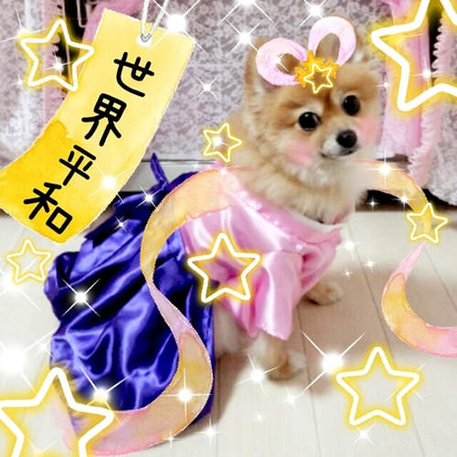 圖片17 圖片17
