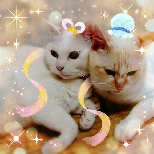 圖片18 圖片18