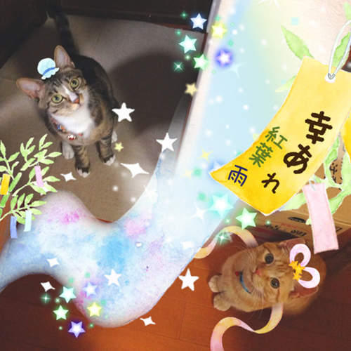 圖片22 圖片22
