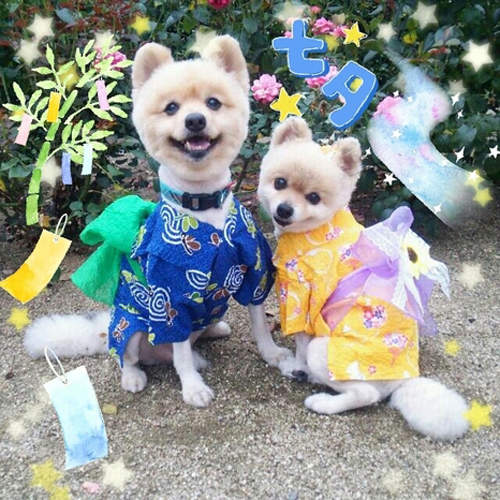 圖片6 圖片6