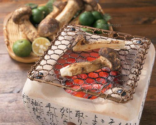 圖片8 圖片8