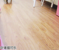 圖片13 圖片13