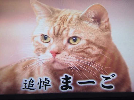 圖片10 圖片10