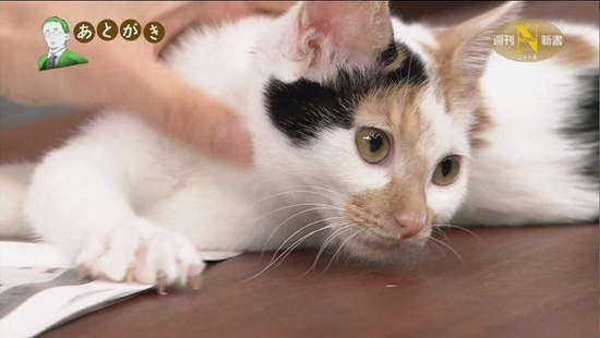 圖片15 圖片15