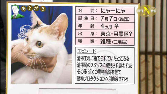 圖片16 圖片16