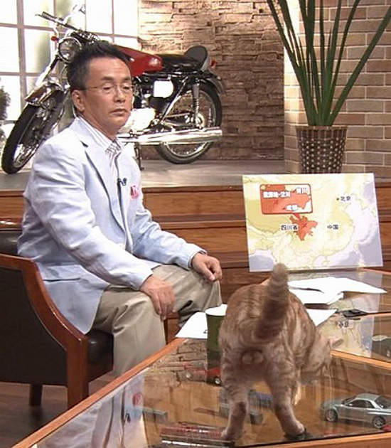 圖片5 圖片5