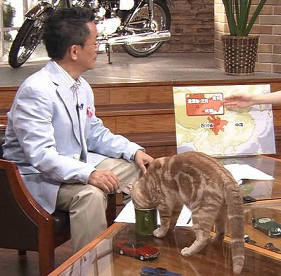 圖片6 圖片6