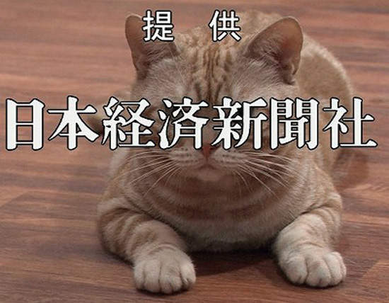 圖片8 圖片8