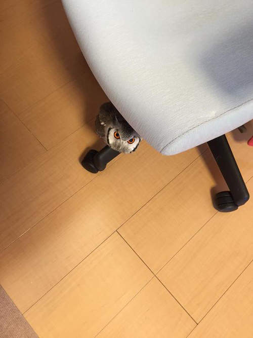 圖片6 圖片6