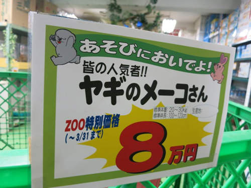 圖片4 圖片4