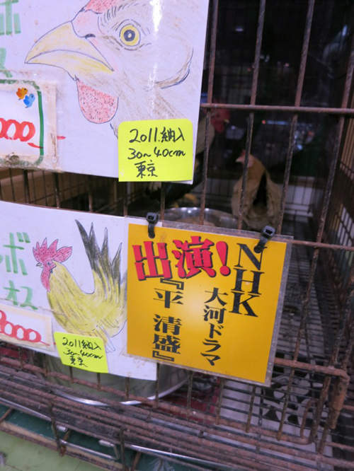 圖片6 圖片6
